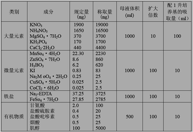 铁皮石斛植物组织培养,植物培养基础知识