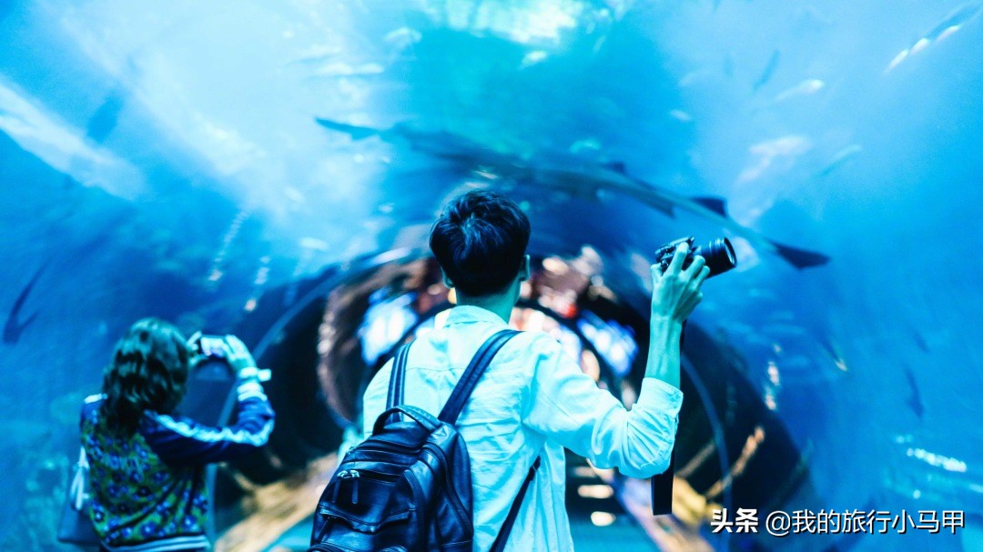 迪拜旅游攻略必去的地方,迪拜游玩全攻略