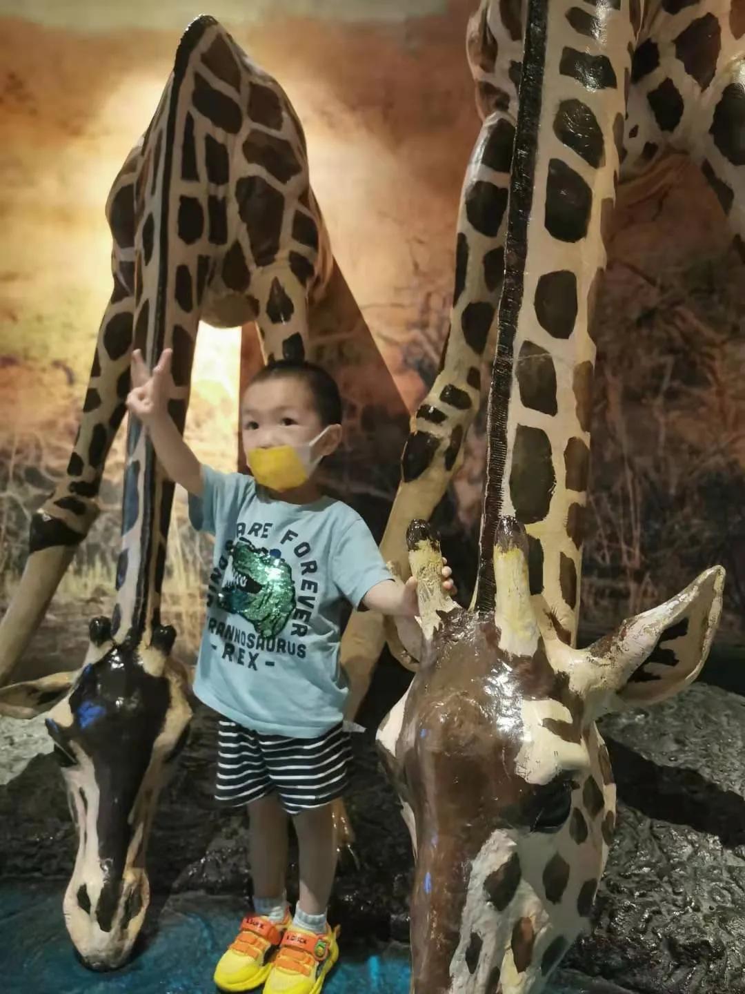 砚砚的英语“天赋”一一带娃日记(68)