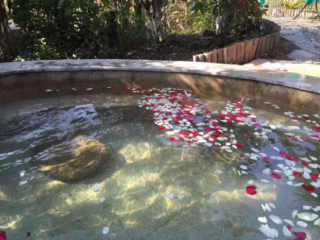 苏州四季恒温水乐园温泉,苏州天颐温泉度假村