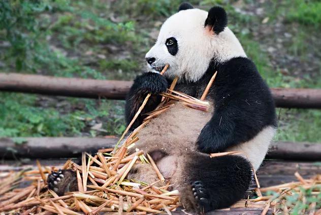 终于等到这一天完整版音乐,长沙适合社交的ktv吃喝玩乐好去处