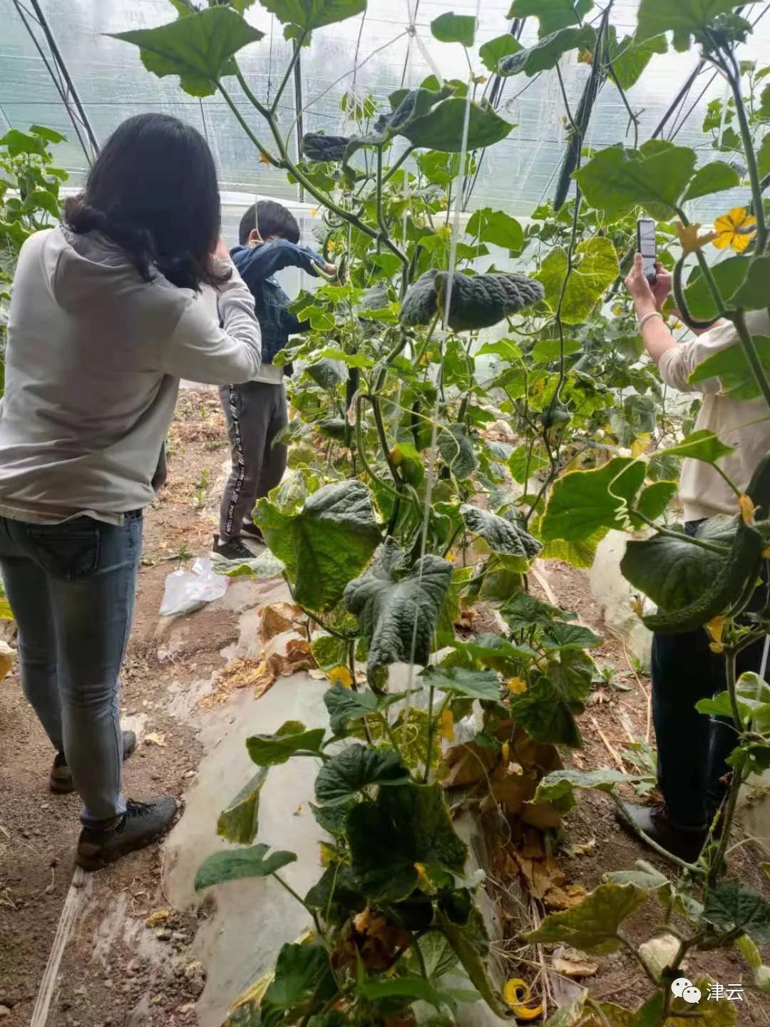清明小长假值得去哪里,哪个地区的清明需要提前去