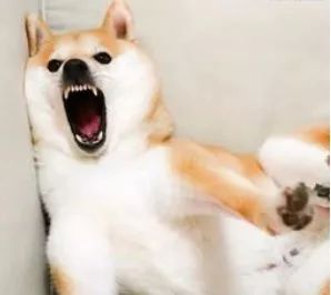 冷空气零下6到8度,最新梧州冷空气