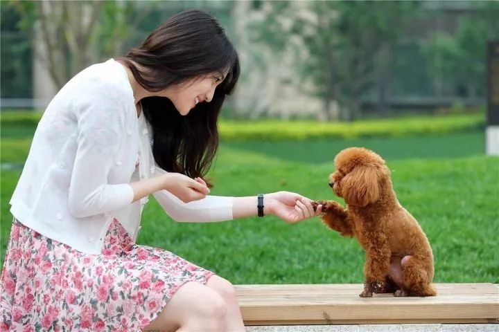 宠物医院一年能赚多少钱呢,看一次病花完一生积蓄