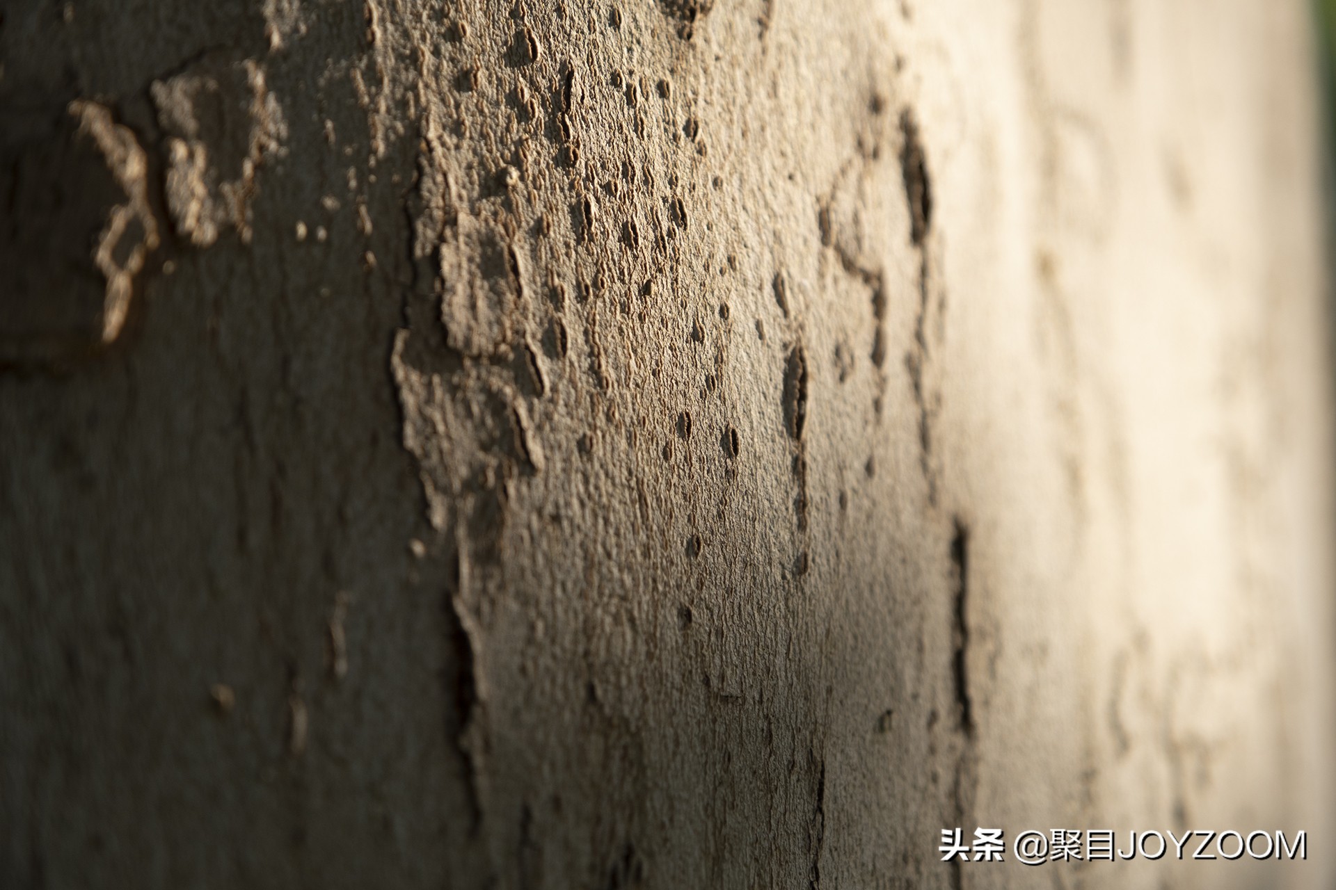 富士xf30mmf2.8微距镜头评测,富士xf16-80与xf18-55镜头对比