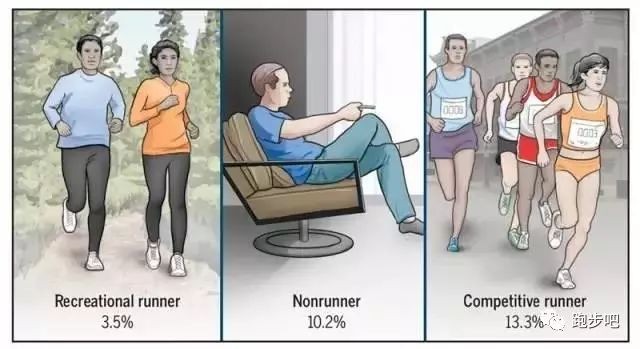 白岩松跑步十年感悟,白岩松每天坚持慢跑5公里