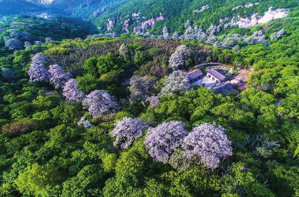 珠海直飞北京机票价格,珠海飞北京大概多少钱