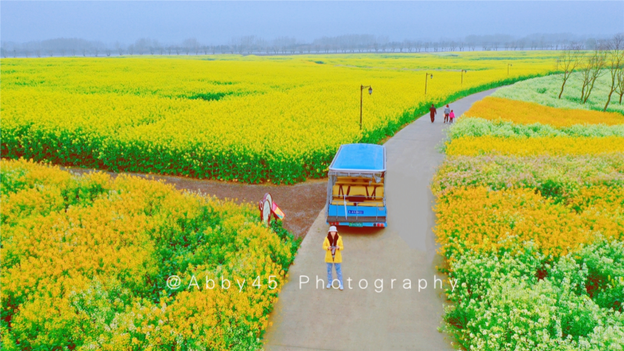 淮安四季花海,五一避开人群小众旅游地