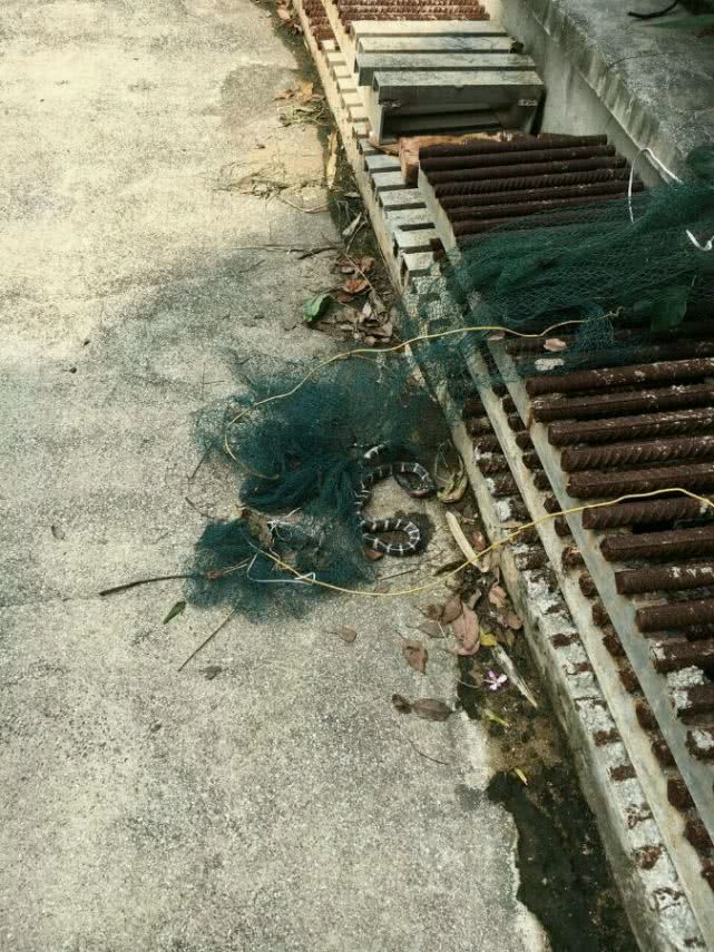 鬼门关跑了一圈,鬼门关里跑了一圈