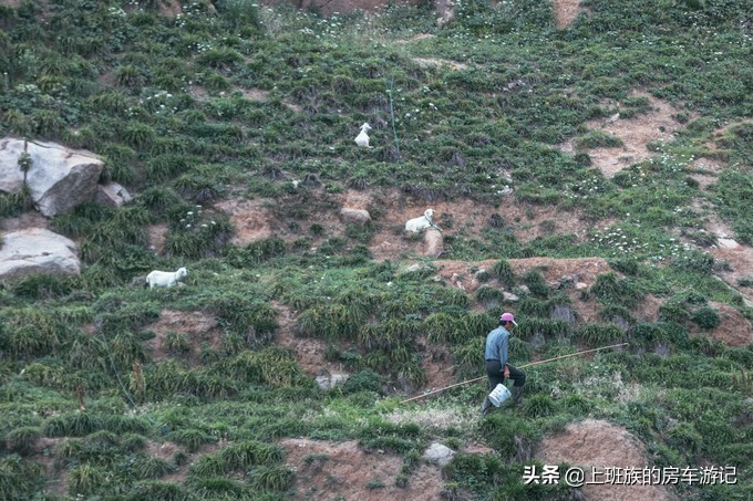 花鸟岛超详细旅游攻略,花鸟岛海岛旅行