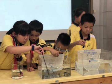 环保袋子可降解,水溶环保袋真的环保吗