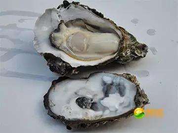 舟山4月份海鲜攻略,舟山海鲜代加工攻略