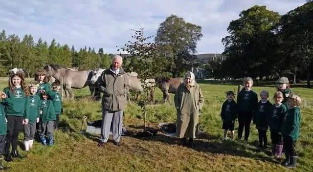 伦敦一套公寓价=万亩庄园,539年来首次出售,女王邻居.带森林河流