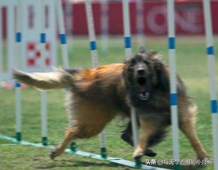 拍照如何拍出模糊感,拍照模糊的技巧