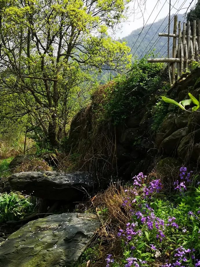 10年前，那个花83元穷游*藏西**的姑娘，后来怎么样了？