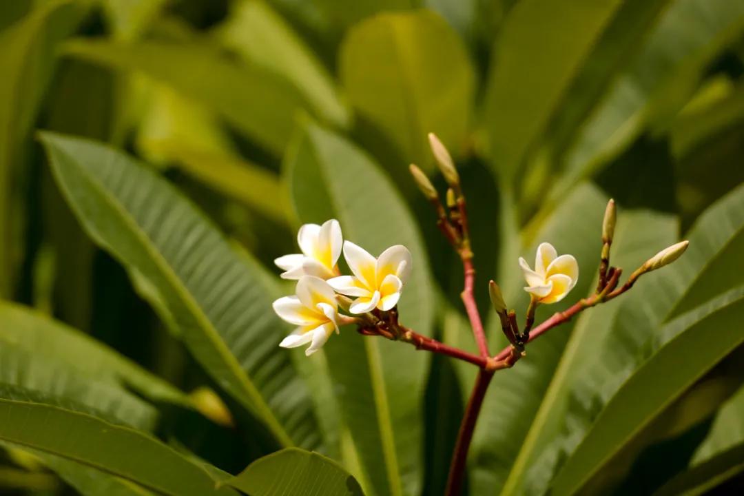 看,这是属于泉信的秋韵