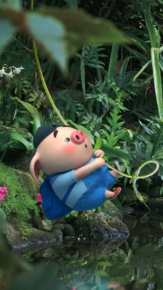 可爱又萌的小猪猪,可爱的小猪猪萌萌哒