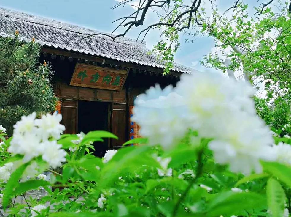 状元府有什么说法,状元府为状元分奖金