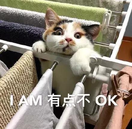 cos妆娘化妆品测评,cosme护肤测评