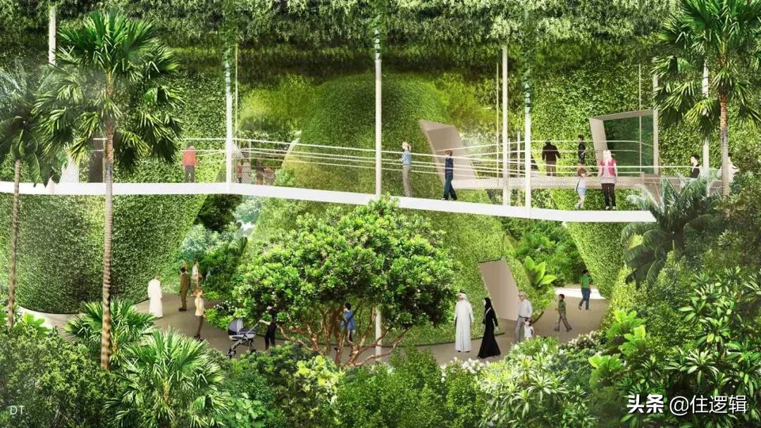 2020年迪拜世博会的展示设计鉴赏,迪拜世博会绝美建筑设计图
