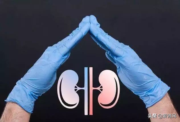 透析病人吃什么食物补铁最好,透析的人最怕什么食物