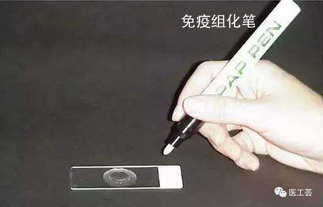 全套生物医学实验技术,免疫组化染色实验结果分析