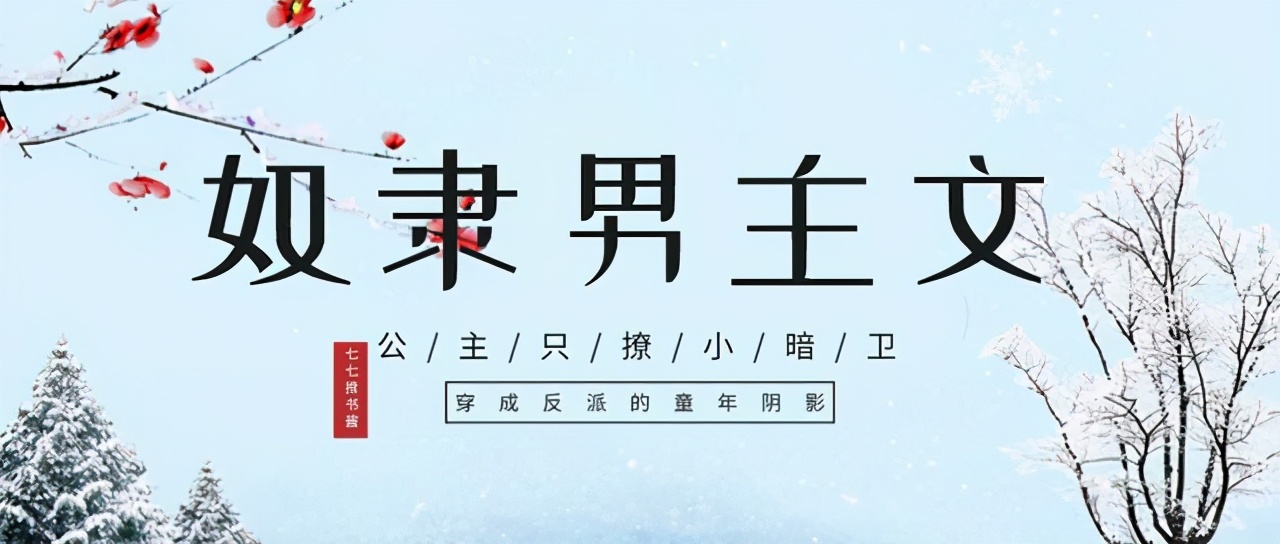 推文五本救赎文,男主是奴隶暗卫的小说