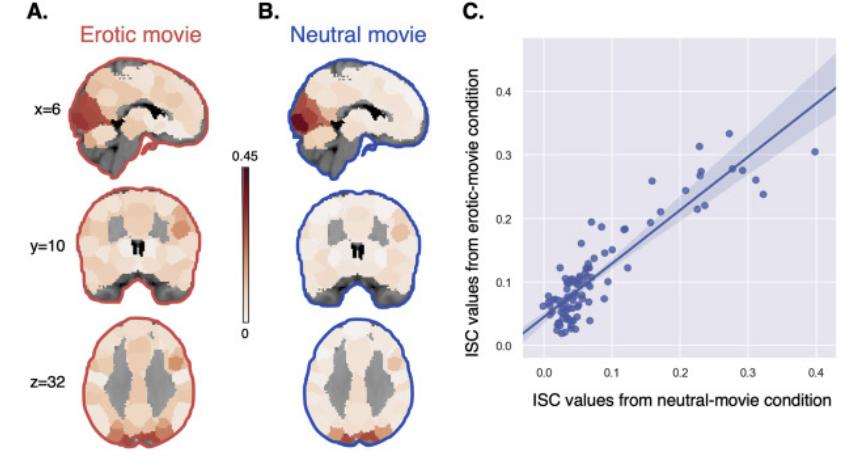 neuroimage意思,mentalimages什么意思