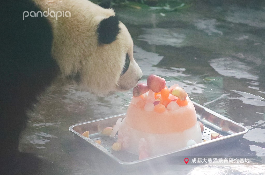 做塑料姐妹,真正的塑料姐妹是什么样的