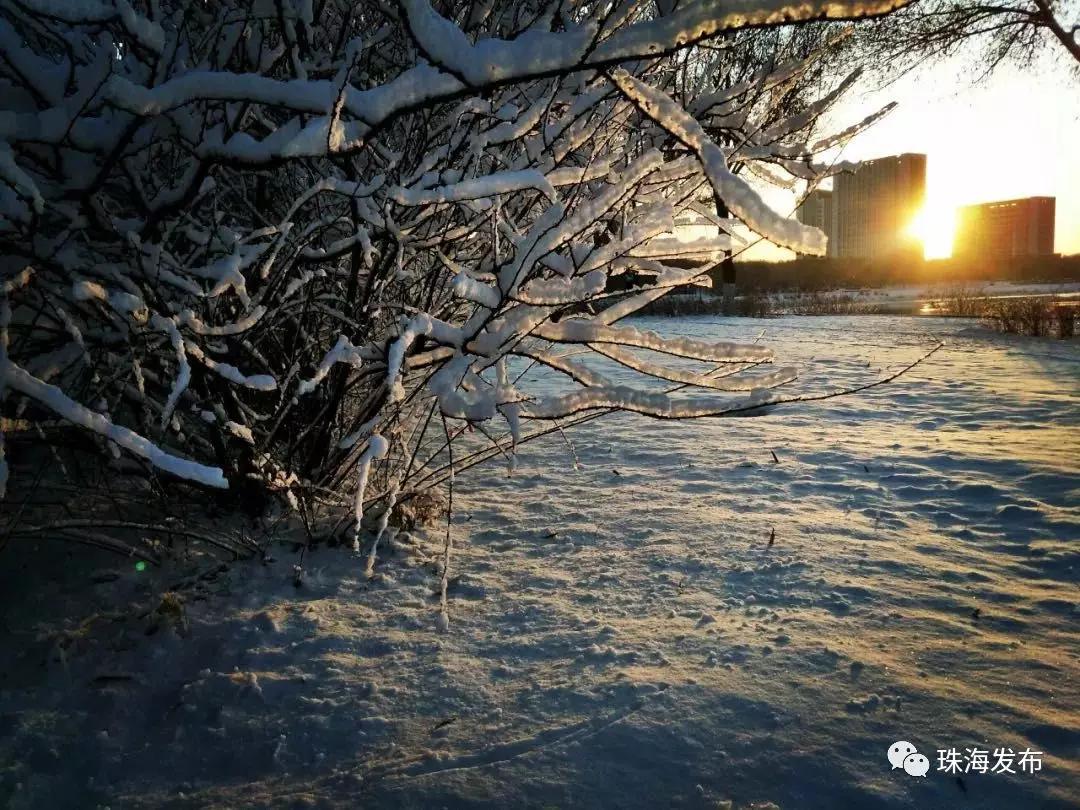 2020美到窒息！珠海的冬天，美炸了
