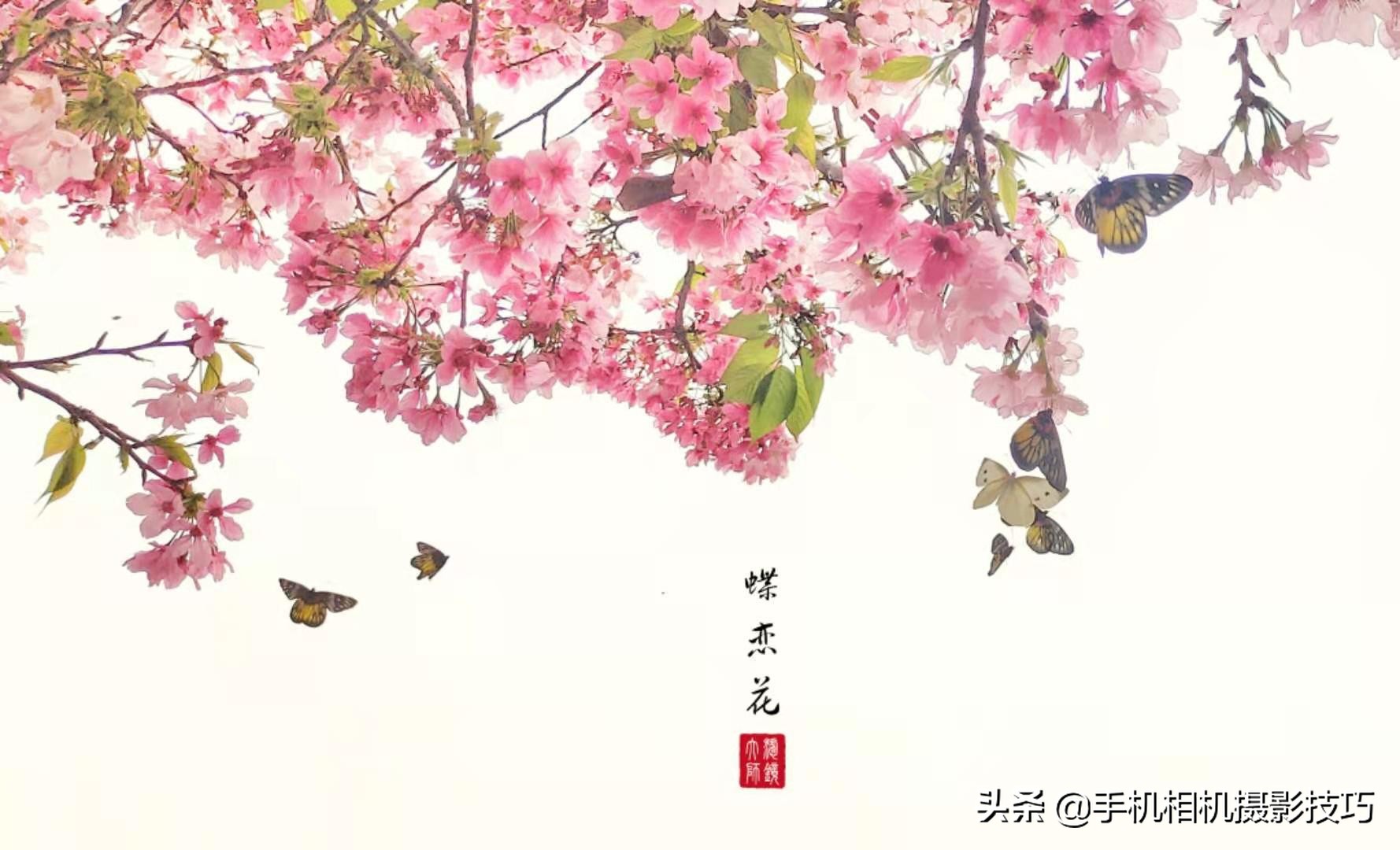 轻松拍摄漂亮照片四大法则构图篇,十种构图法拍的照片