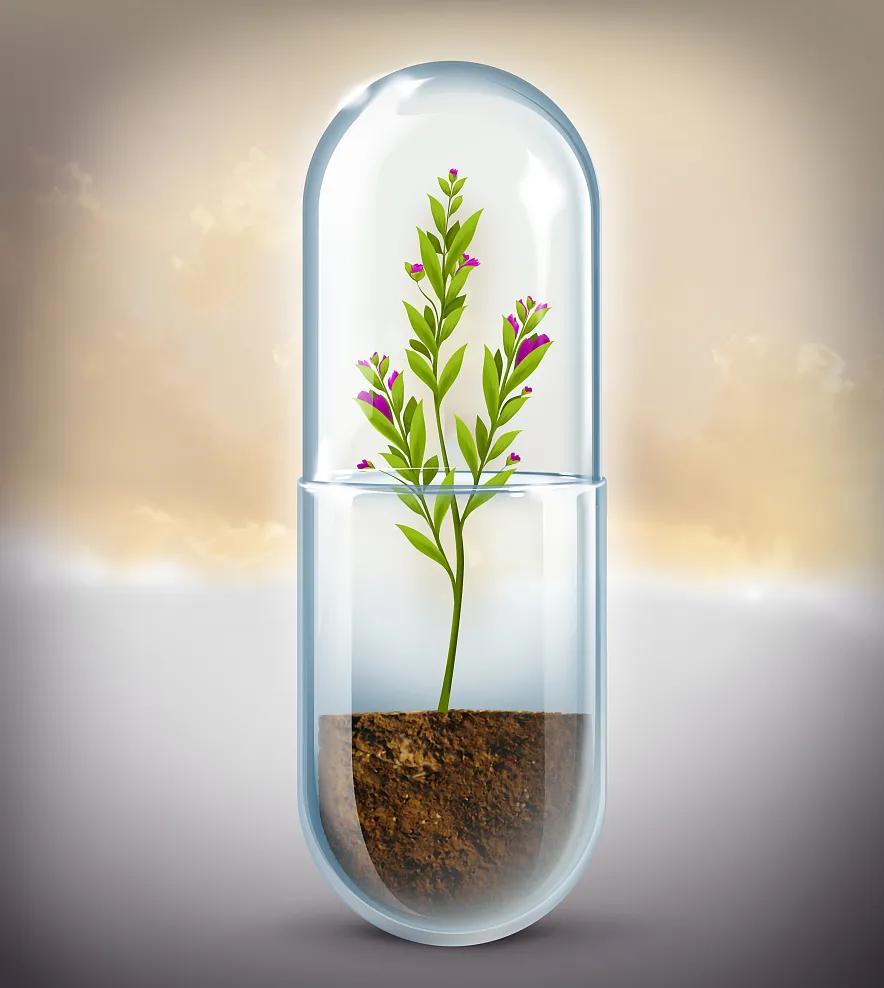 雷公藤多苷治疗类风湿要吃多久,雷公藤多苷与什么药搭配治疗风湿