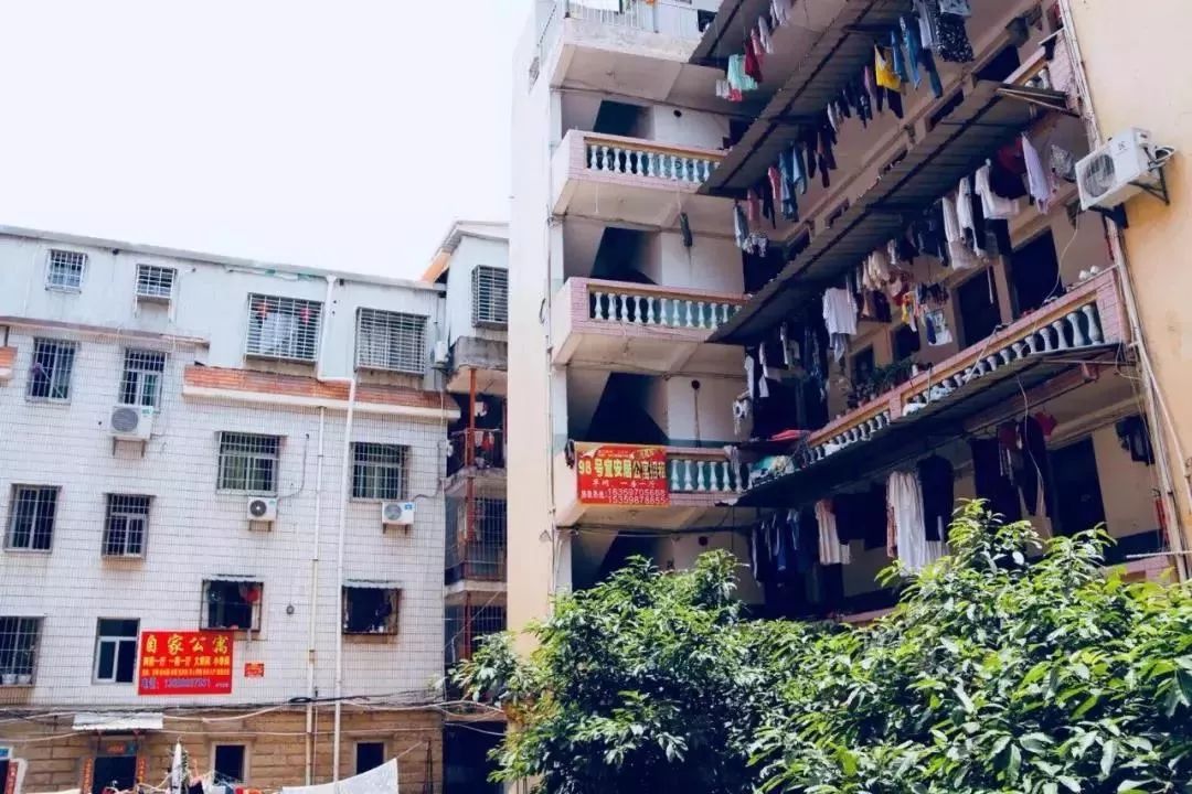 厦门未来5年租房子多少钱,厦门公租房租金会涨吗