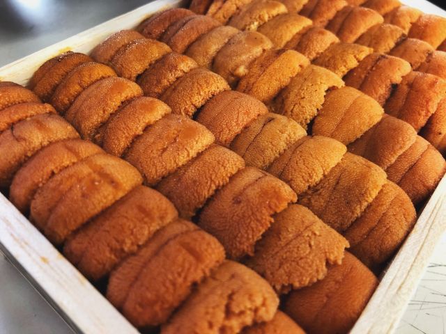 日本东京旅行攻略自由行,日本游记自由行攻略