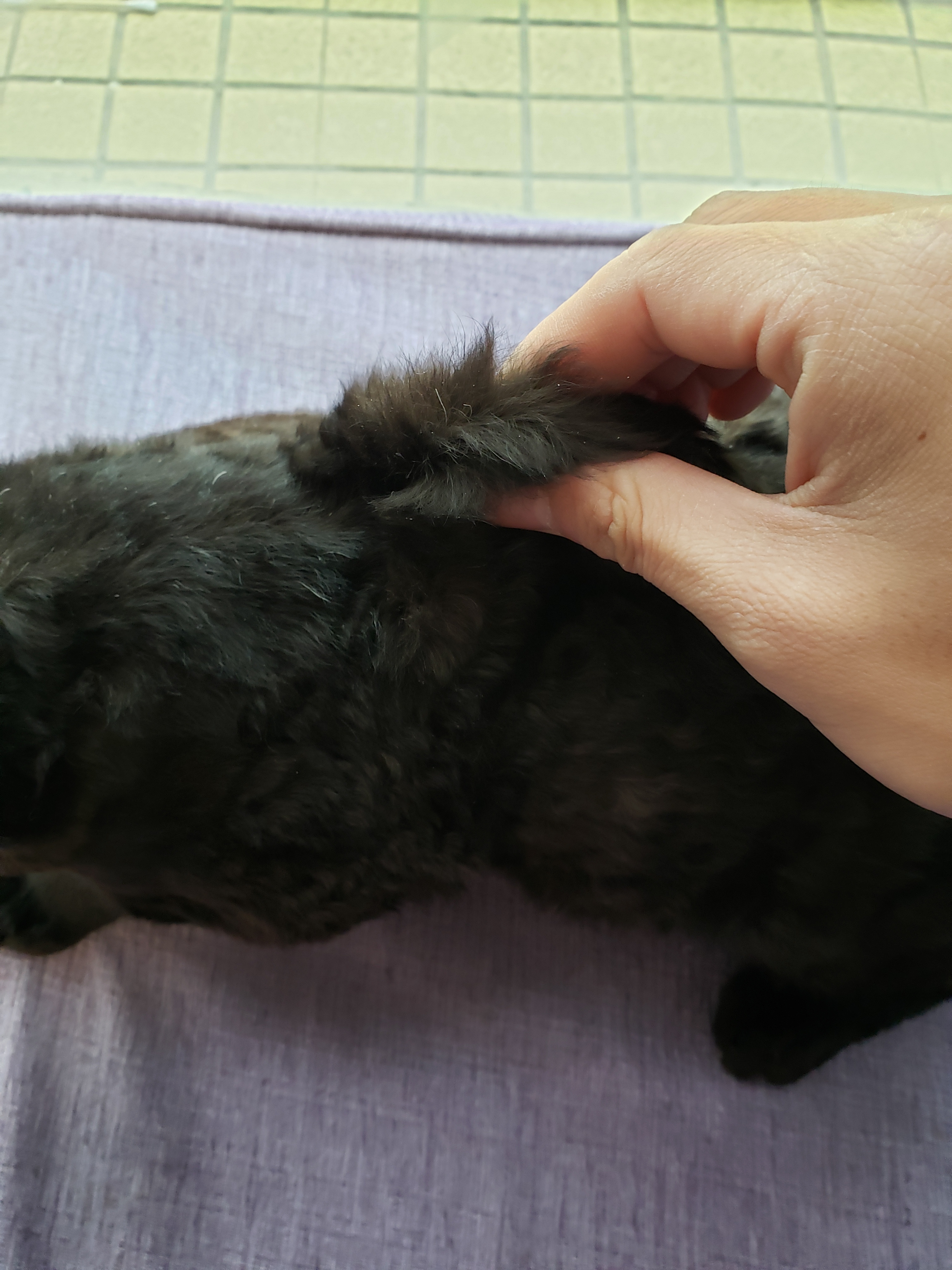 不喝水就得输液,不喝水就输液