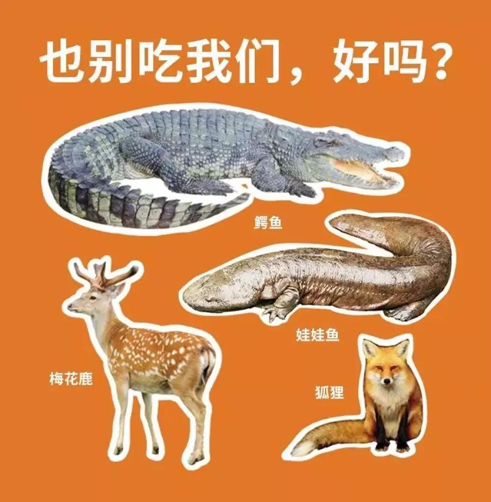 抓蛙捕鸟被判刑,抓青蛙检察院怎么处理