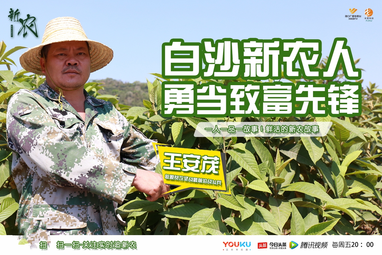 新农33期|白沙细水乡王安茂种植的黎族奇药裸花紫珠