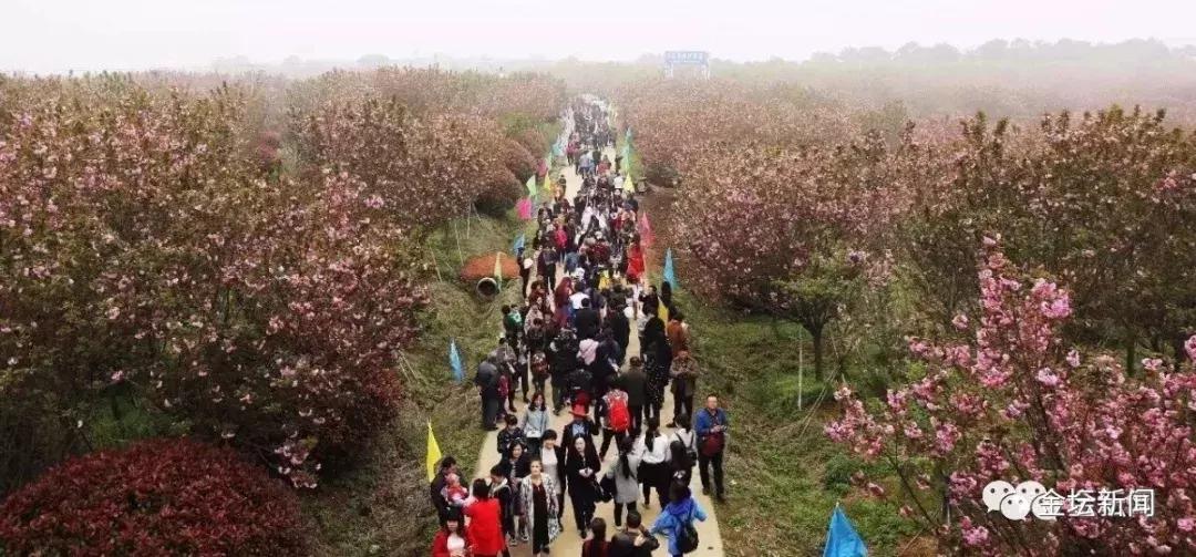 今年金坛发展亮点,金坛区2021年民生实事