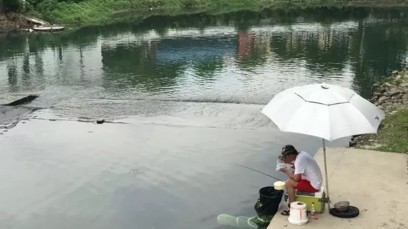 【鑫富纪实】国医院士″李兰娟