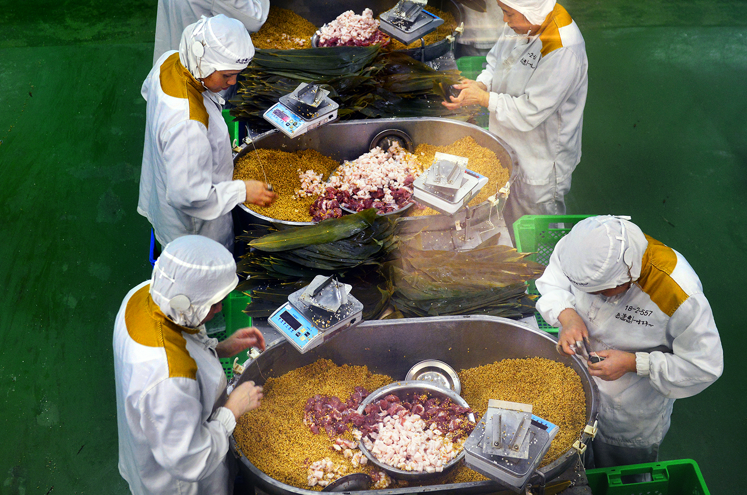 嘉兴鱼米之乡风景,去嘉兴看精致的江南风情