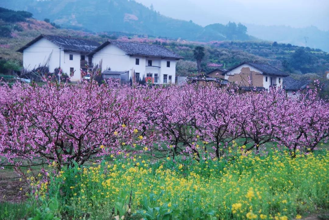 国内最适合一个人旅行的20个地方,一个人自驾旅行累了想回家