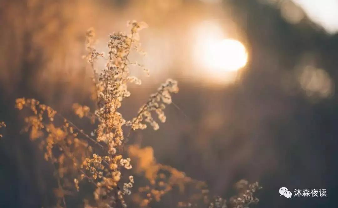 那些嫁给穷小子的最后怎样了,嫁给穷小子的4个原因