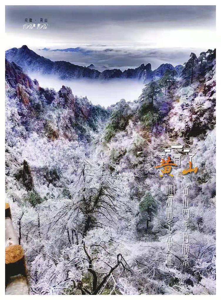 *今条头日**“特赐黄马褂”，彰显创作者身份尊贵的象征