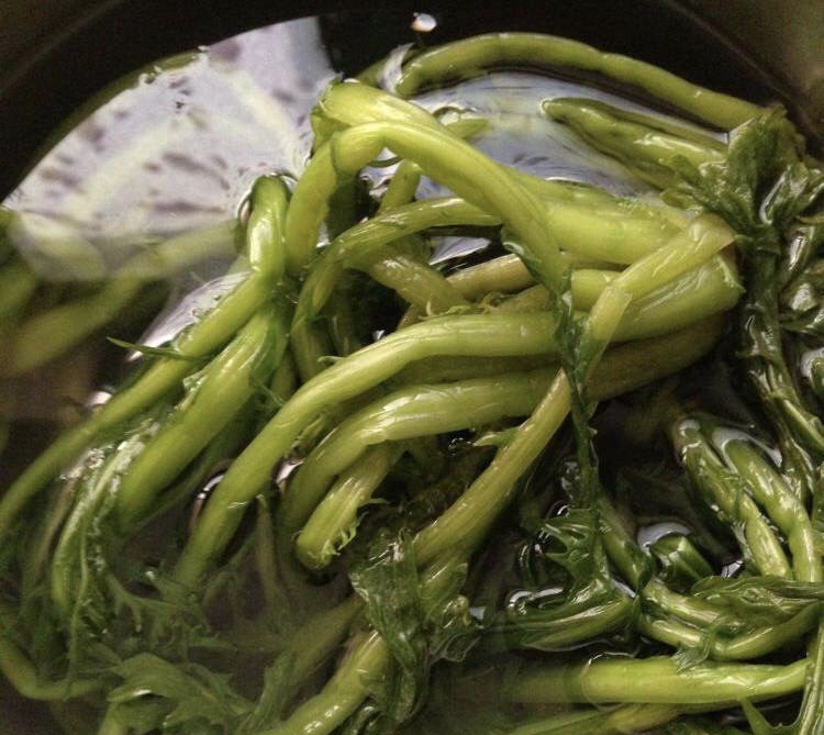 怎么腌雪菜才好吃,怎么腌雪菜好吃又简单