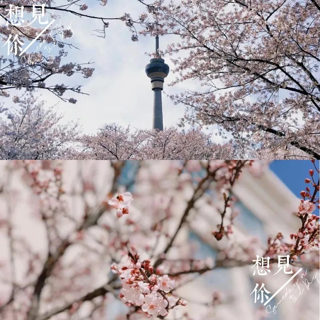 南开大学滨海学院天津排名,天津曾经的滨海学院