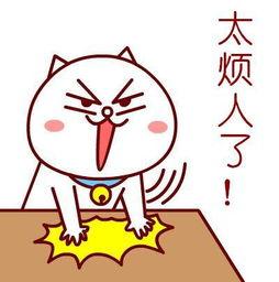 苹果手机的双重认证是什么,苹果手机的双重认证信任号码