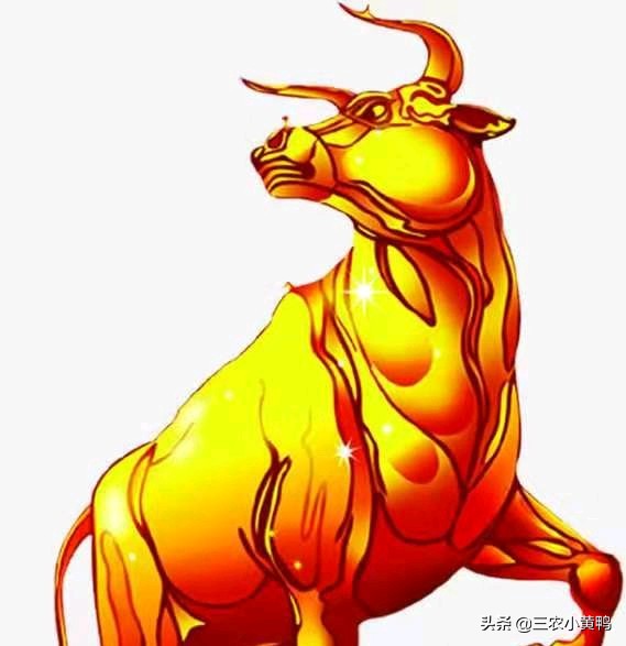 2020年寡妇年什么意思,2023年的寡妇年是啥意思