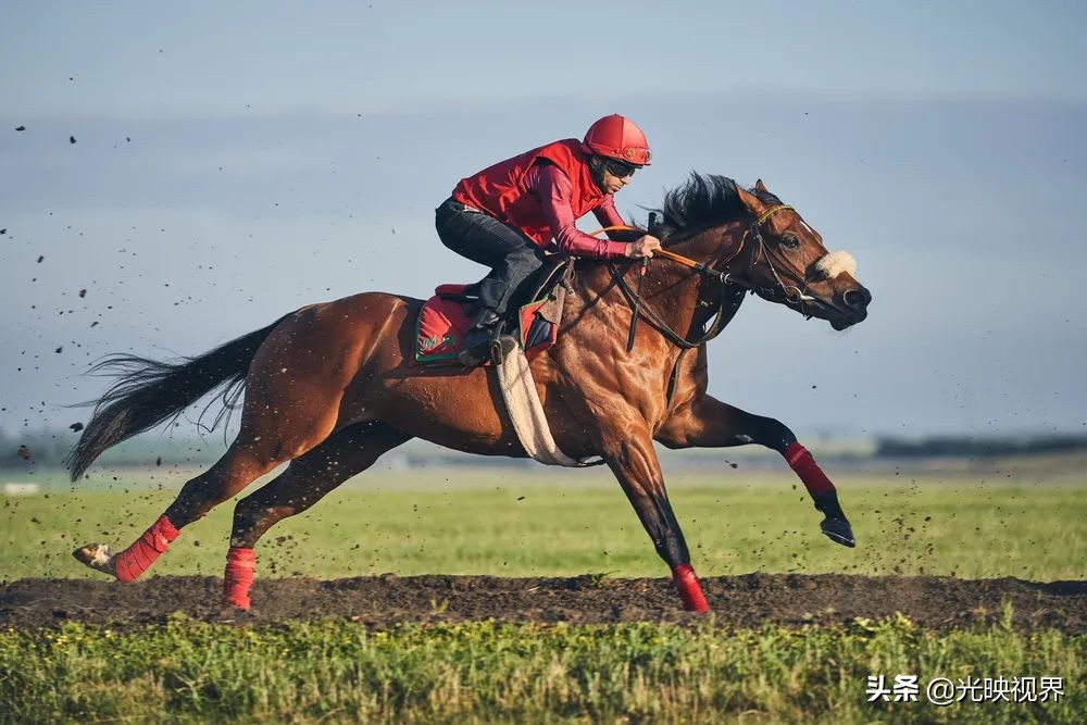 2022年度的ipa摄影大赛获奖作品,2020ippa摄影大赛奖项公布