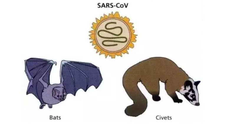欧洲瘟疫死亡2500万人是哪一年,人类最大的瘟疫