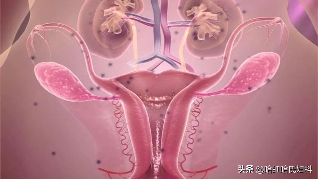 35岁就要绝经了怎么办,35岁月经一天就结束了是什么原因